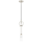 EVOLV Chloe Pendant - Brushed Nickel / Clear