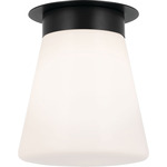 Albers Ceiling Light - Black / Opal