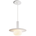 Combi Pendant with Decorative Aluminum Plate/Glass Ball - Matte White / White