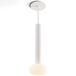 Combi Pendant with Glass Ball - Matte White / Frost White