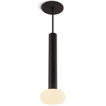 Combi Pendant with Glass Ball - Matte Black / Frost White