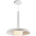 Combi Pendant with Metal Shade/Glass Ball - Matte White / Frost White