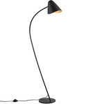 Organic Floor Lamp - Black