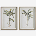Banana Palm Botanical Prints, Set of 2 - Natural / Neutral Color Tones