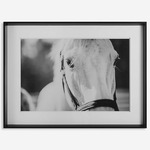 Eyes on The Prize Framed Print - Satin Black / Black / White