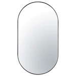 Capsule Oval Wall Mirror - Black / Mirror