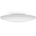 Moris LED Wall / Ceiling Light - White / Satin