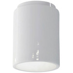 Radiance 6100 Ceiling Light - Gloss White