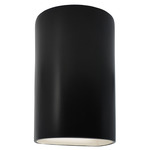 Ambiance 1265 Wall Sconce - Carbon Matte Black
