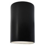 Ambiance 1265 Wall Sconce - Carbon Matte Black