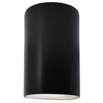 Ambiance 5260 Dark Sky Outdoor Wall Sconce - Carbon Matte Black
