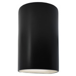 Ambiance 1265 Outdoor Wall Sconce - Carbon Matte Black
