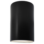 Ambiance 5260 Wall Sconce - Carbon Matte Black