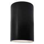 Ambiance 1260 Down Wall Sconce - Carbon Matte Black