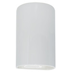 Ambiance 5260 Dark Sky Outdoor Wall Sconce - Gloss White