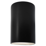 Ambiance 1260 Dark Sky Wall Sconce - Carbon Matte Black