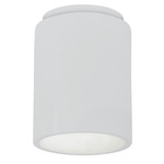 Radiance 6100 Outdoor Ceiling Light - Gloss White