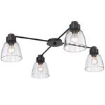 Remy 4 - Light Ceiling Light Fixture - Matte Black / Clear