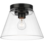 Penn Ceiling Light - Matte Black / Clear