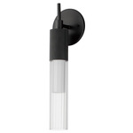Reeds Wall Sconce - Black / Clear