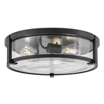 Lowell Clear Ceiling Light - Black / Clear