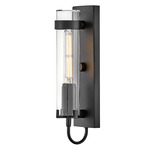 Ryden Outdoor Wall Sconce - Black / Clear