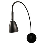 Advent Arch Library Picture Light - Black