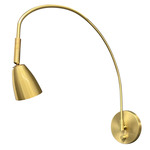 Advent Arch Library Picture Light - Natural Brass