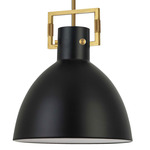 Liberty Pendant - Aged Brass / Black / Matte Black