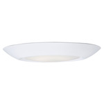 Diverse Direct Mount Ceiling Light - White / White