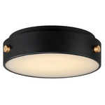 Rivet Outdoor Ceiling Light - Black / Antique Brass / White