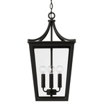 Adair Outdoor Hanging Lantern - Black / Clear