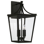 Adair Outdoor Wall Lantern - Black / Clear