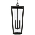 Elliott Outdoor Hanging Lantern - Black / Clear