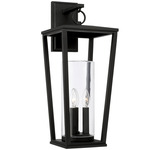 Elliott Outdoor Wall Lantern - Black / Clear