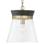 Finn Pendant - Matte Brass / Black Stain / Clear