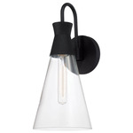 Paloma Wall Sconce - Black / Clear