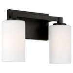 Ravenwood Bathroom Vanity Light - Black Iron / Soft White