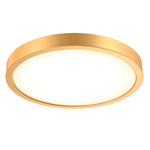 Delta Color Select Round Outdoor Wall / Ceiling Light - Gold / Frosted