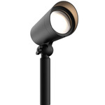 Spot Color-Select Outdoor Accent Light 12V - Black