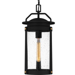 Clifton Outdoor Pendant - Earth Black / Clear Seedy