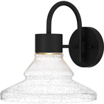 Felix Outdoor Wall Lantern - Matte Black / Clear Seedy