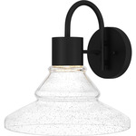 Felix Outdoor Wall Lantern - Matte Black / Clear Seedy