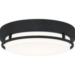 Hale Ceiling Light - Earth Black / White