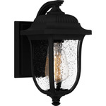 Mulberry Outdoor Wall Sconce - Matte Black / Clear Seedy