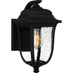 Mulberry Outdoor Wall Sconce - Matte Black / Clear Seedy