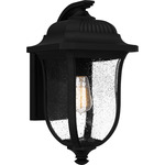 Mulberry Outdoor Wall Sconce - Matte Black / Clear Seedy