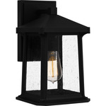 Satterfield Outdoor Wall Sconce - Matte Black / Clear Seedy