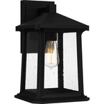 Satterfield Outdoor Wall Sconce - Matte Black / Clear Seedy
