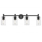 Crown Point Bathroom Vanity Light - Matte Black / Clear
